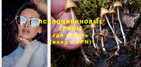 мдпв Вяземский