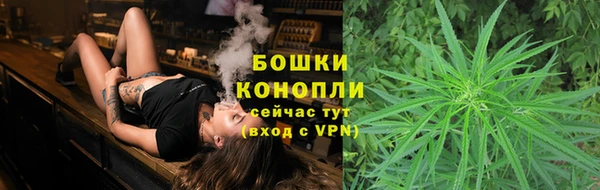 мдпв Вяземский